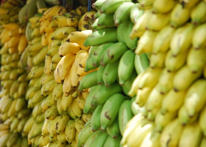 fresh organic bananas